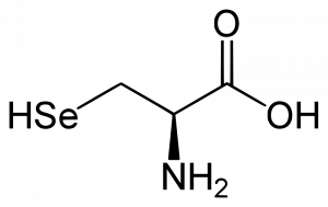 Grafisk afbildning af selenocystein