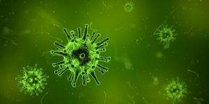 Virus med spikeproteiner