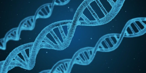 DNA dobbel helix